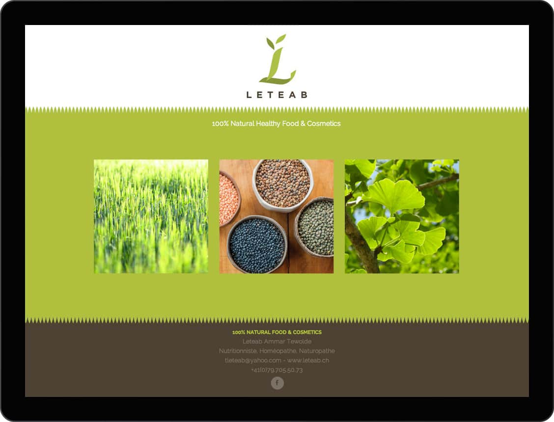 etche-web-design-leteab