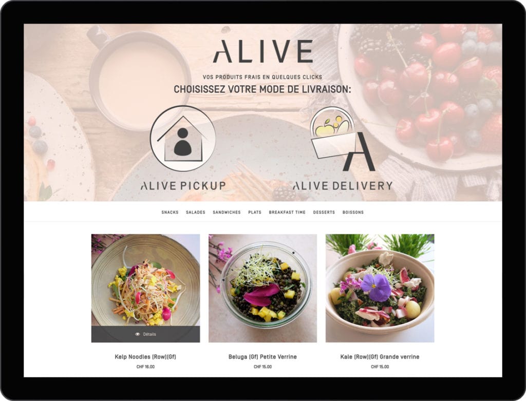 etche-web-design-alive