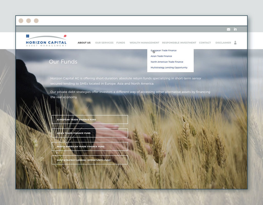 etche-webdesign-horizon-capital